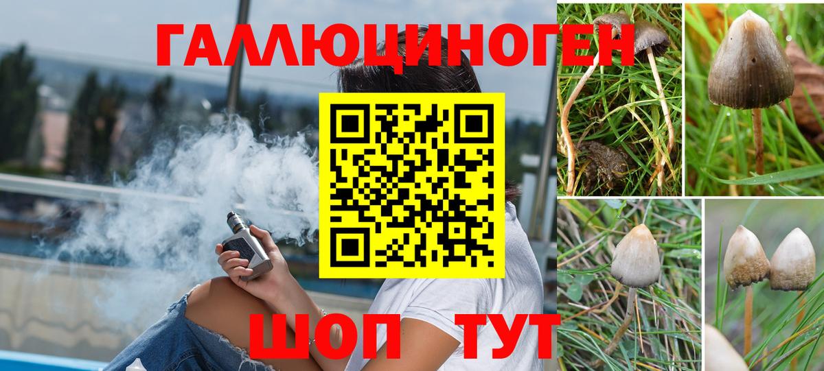 Псилоцибиновые грибы MAGIC MUSHROOMS Славянск-на-Кубани